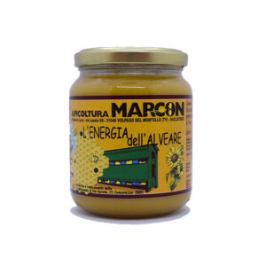 Energia dell'alveare Apicoltura Marcon